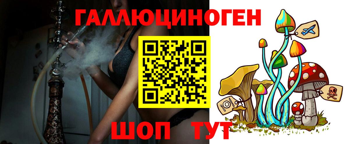 Галлюциногенные грибы Psilocybe  Вход с VPN  Псилоцибиновые грибы MAGIC MUSHROOMS  Новороссийск 